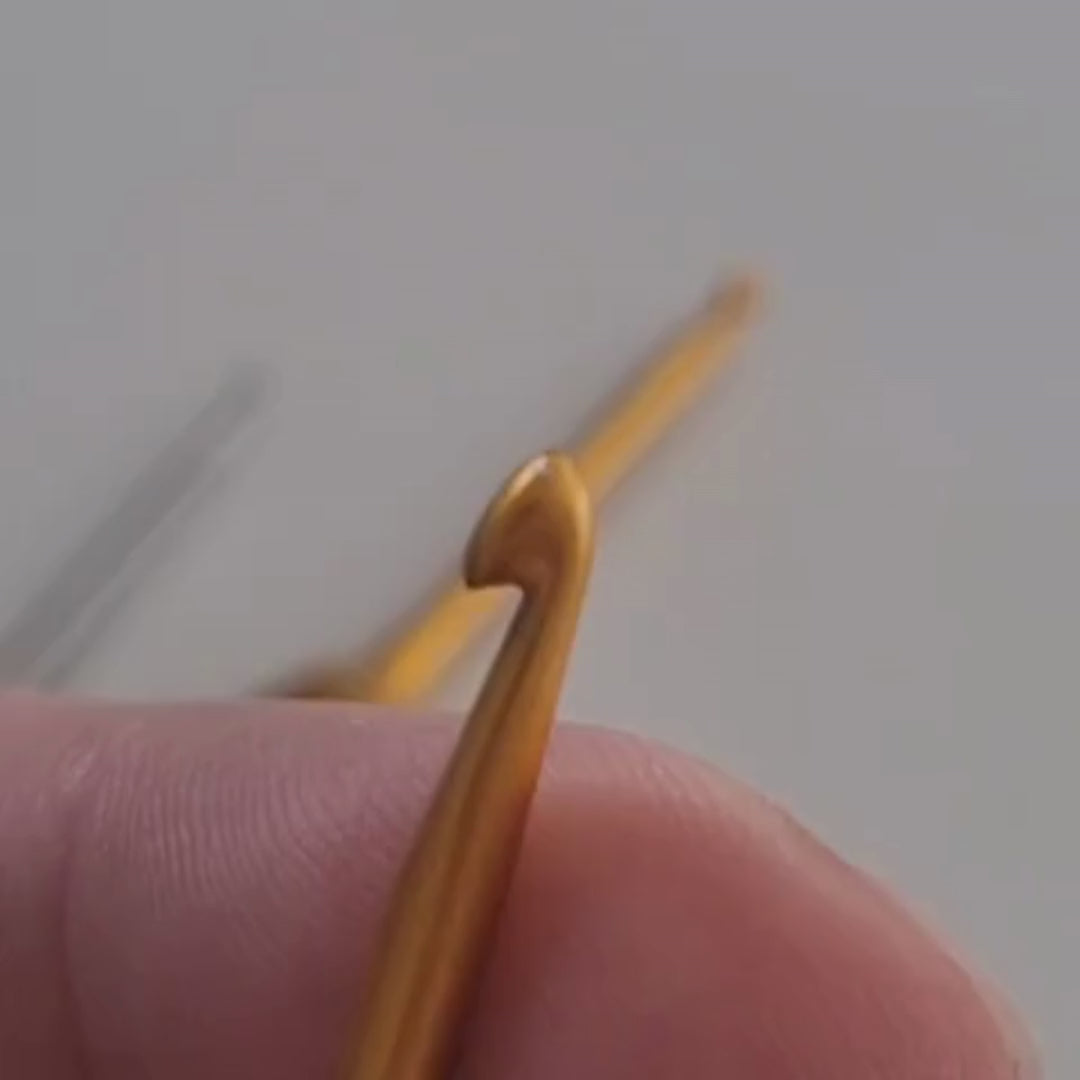 Charger la vidéo : 