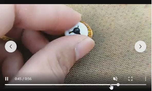 Charger la vidéo : 